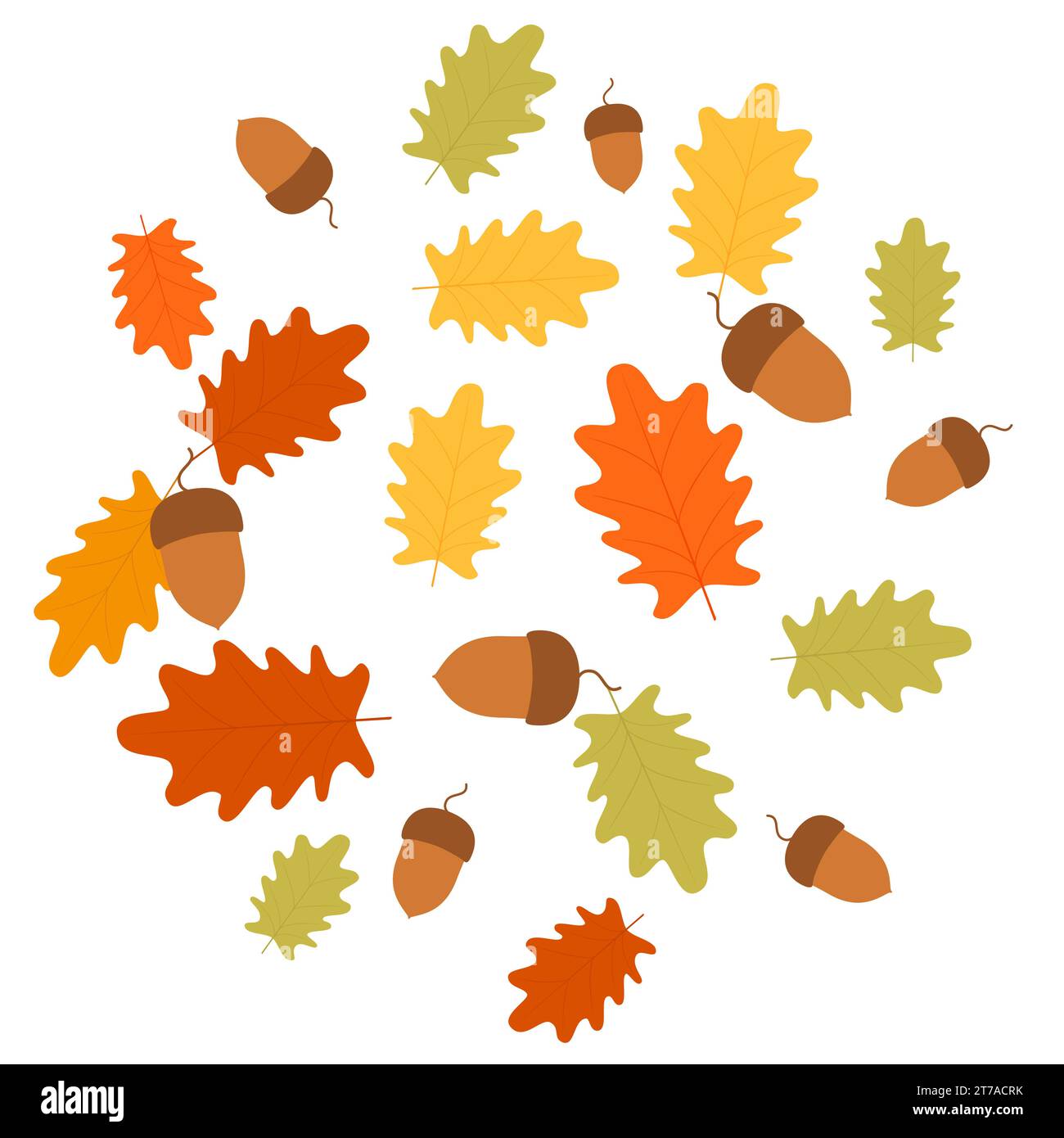 Illustration vectorielle. Collection de glands. Composition automnale. Illustration de Vecteur