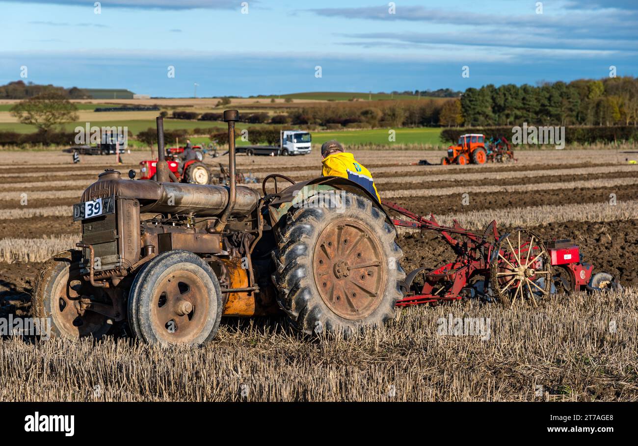 Tracteur Fordson vintage labourant des sillons dans le match de labourage, East Lothian, Écosse, Royaume-Uni Banque D'Images