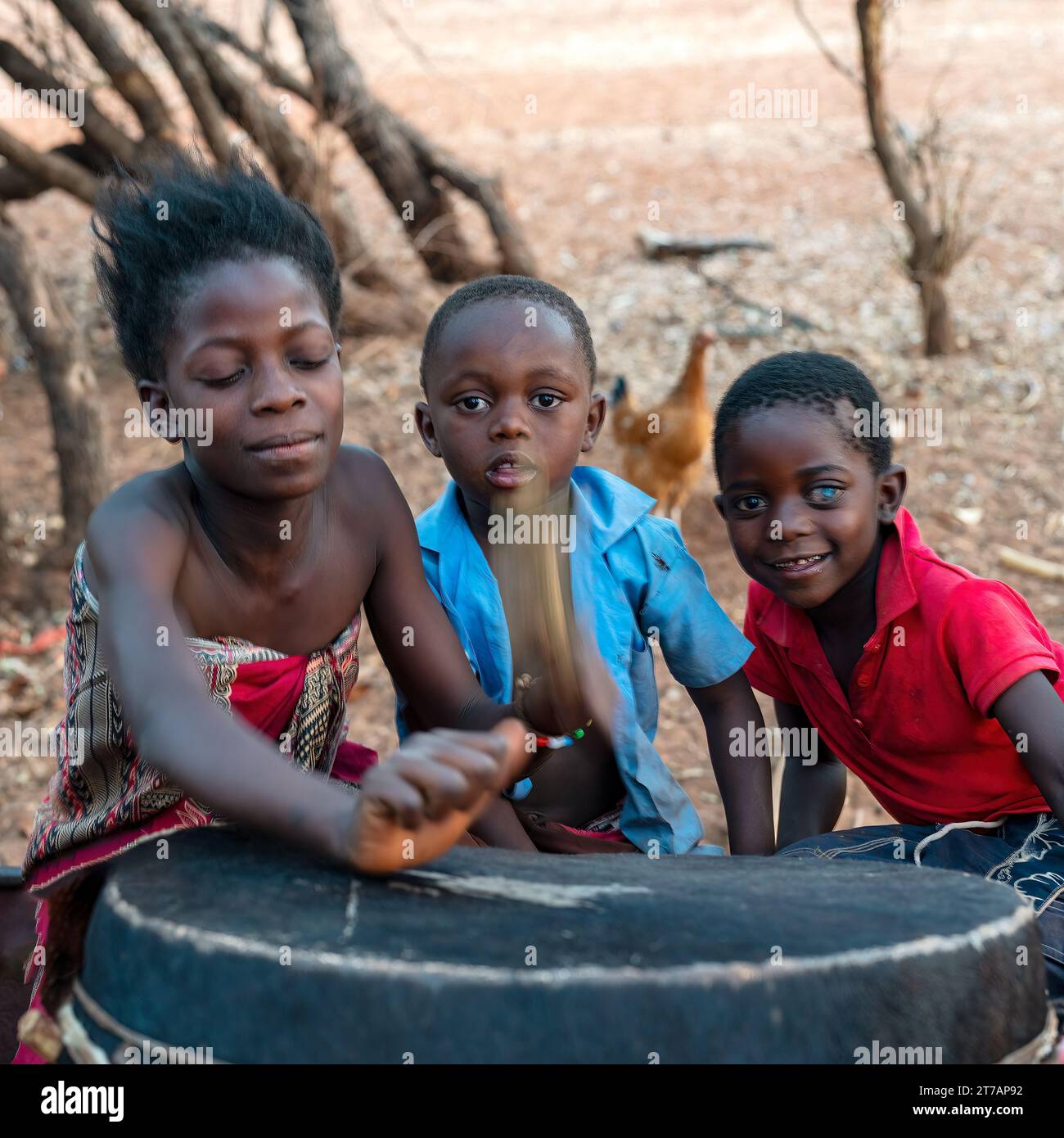 Trois enfants africains se rassemblant autour d'un tambour bongo dans la nature sauvage près du fleuve Zambèze, Zambie. Banque D'Images