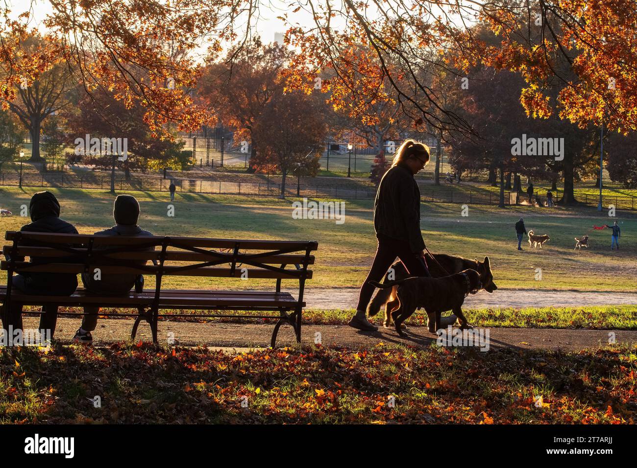 Visiteurs au Juniper Valley Park dans le Queens, New York Banque D'Images