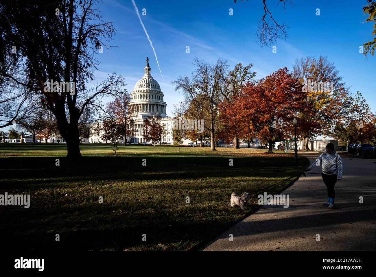 Washington, États-Unis. 14 novembre 2023. Une vue du Capitole des États-Unis est vue dans la matinée alors que les résolutions CR sont en cours sur Capitol Hill à Washington, DC le mardi 14 novembre 2023. Photo de Ken Cedeno/UPI crédit : UPI/Alamy Live News Banque D'Images