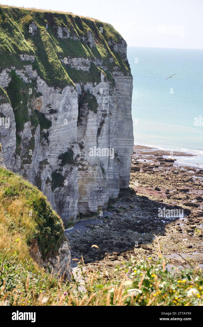 Nahe der kleinen Ortschaft Yport an der Küste der Normandie knn man wunderbar oberhalb der Steilküste wandern und wunderschöne Ausblicke genießen. - N Banque D'Images