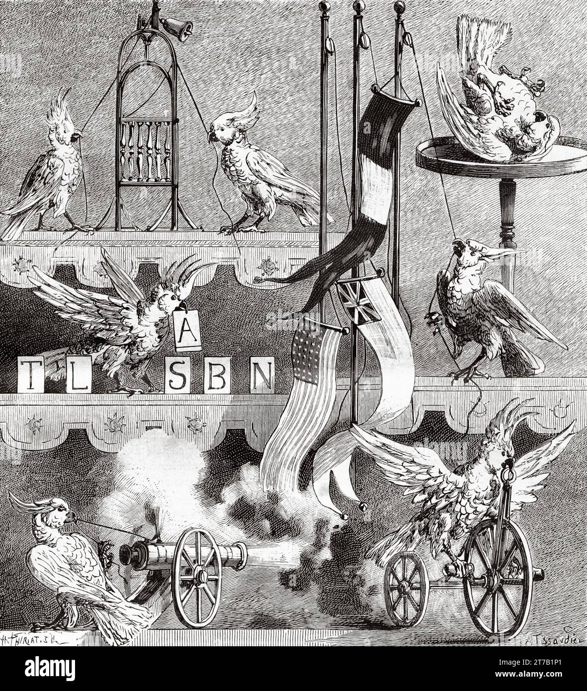 Le célèbre charmeur de perroquets H. Abdy. Perroquets appris par Abdy à Paris, France. Illustration ancienne de la nature 1887 Banque D'Images