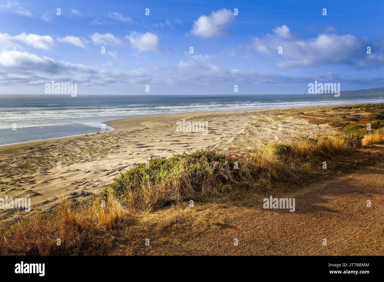 Une plage de sable en Californie Banque D'Images