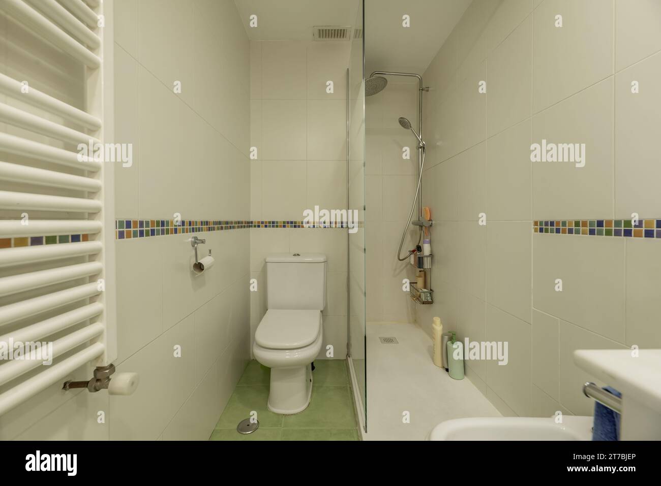 Une petite salle de bains avec une cabine de douche vitrée, une toilette en porcelaine blanche Banque D'Images