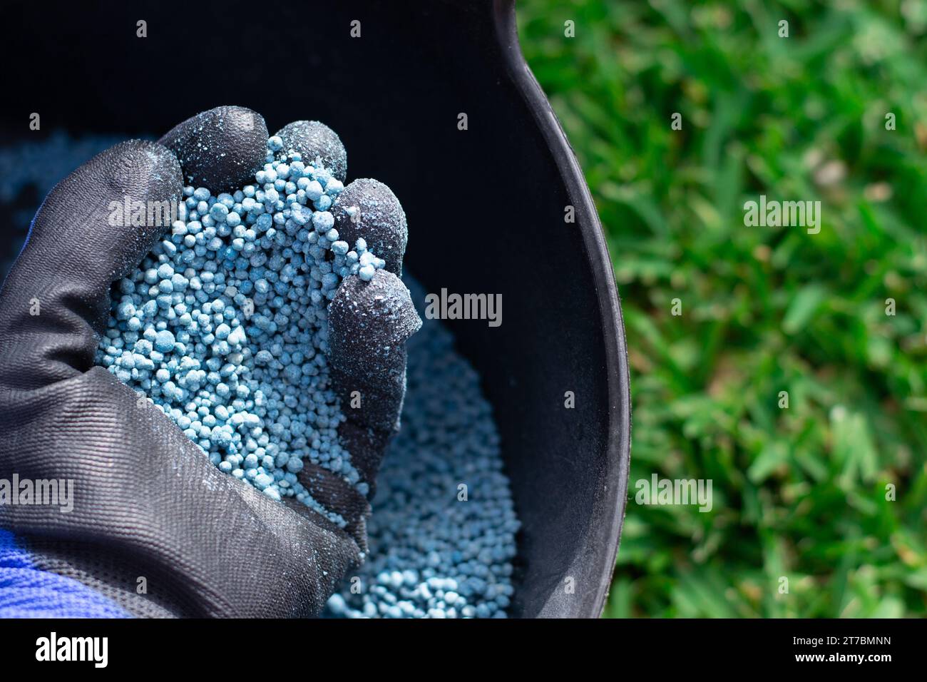 Seau d'engrais chimique bleu en format granulaire prêt à être appliqué sur les plantes de jardin. Concept d'entretien de jardin. Banque D'Images