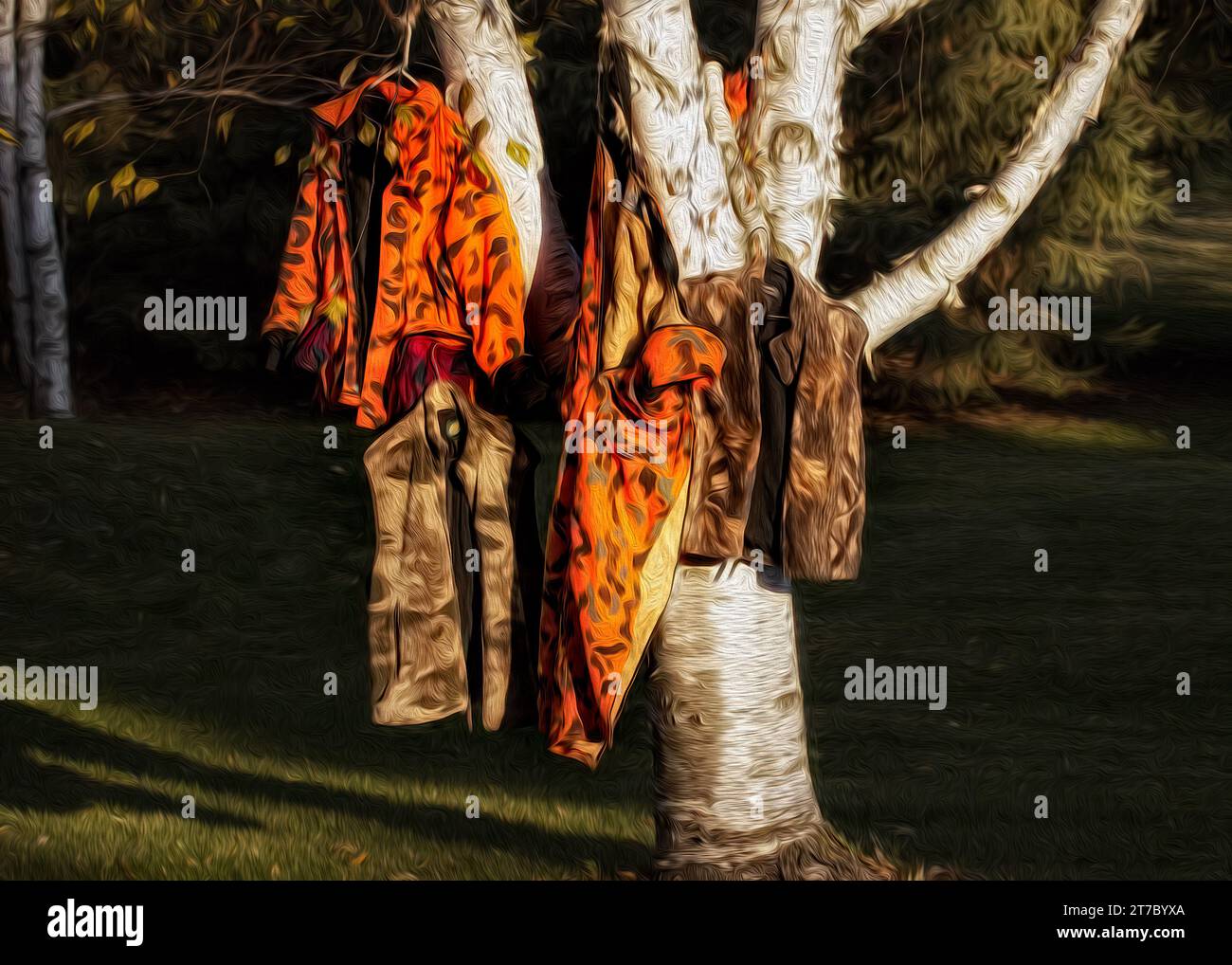 Peinture à l'huile numérique de vêtements de camouflage orange Blaze suspendus à sécher sur un arbre de bouleau (Betula papyrifera) Banque D'Images