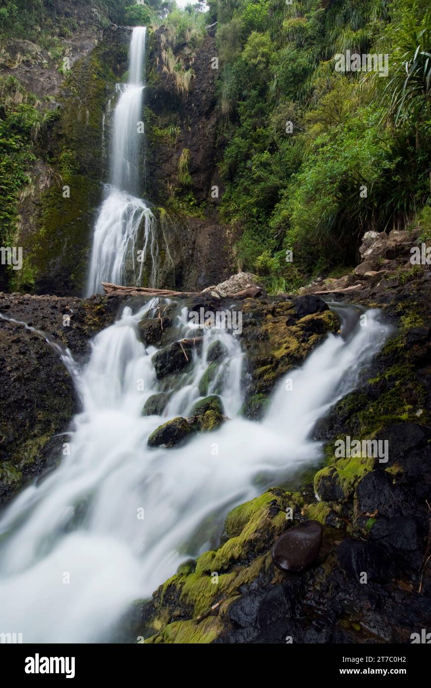 Kitekite Falls, la cascade la plus pittoresque des Waitakere Ranges. Région d'Auckland, Île du Nord, Nouvelle-Zélande Banque D'Images