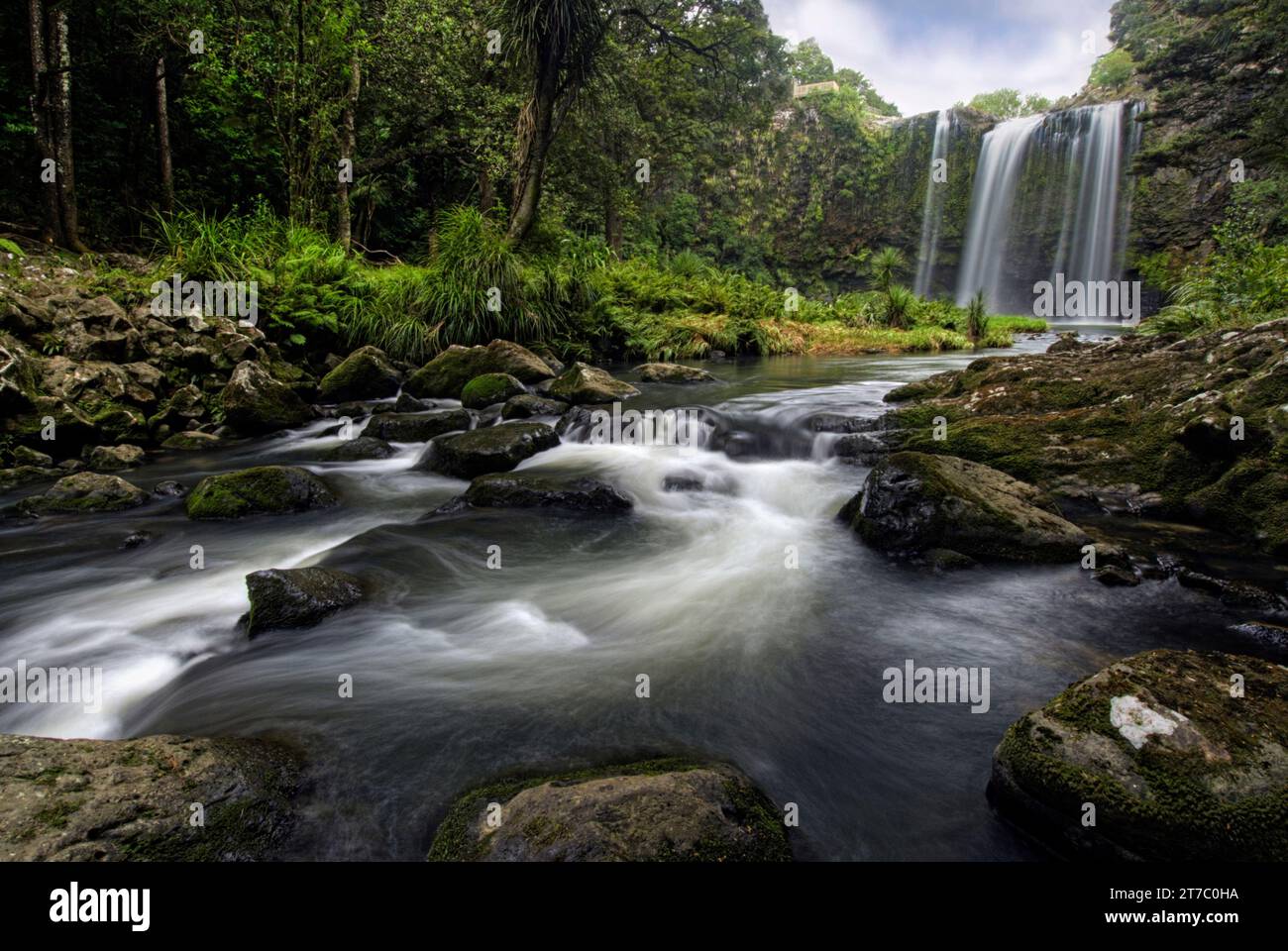 Prise de vue longue exposition de Whangarei Falls est une majestueuse cascade de 26 mètres qui tombe en cascade sur des falaises de basalte. Whangarei, Northland, Nouvelle-Zélande Banque D'Images