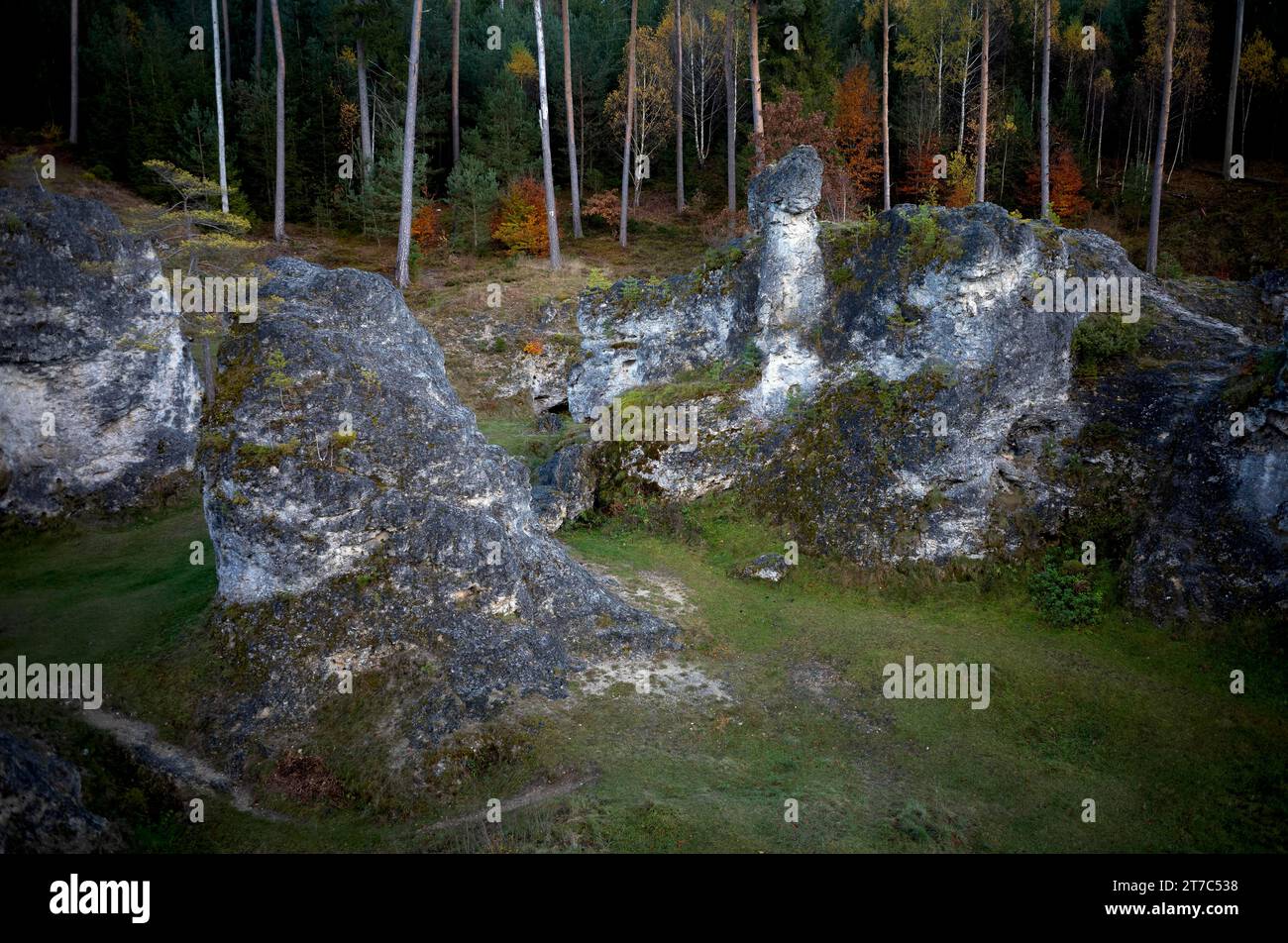 Roches de dolomite, mer de roches, Wental, Barholomae, Baden-Wuerttemberg, Allemagne Banque D'Images