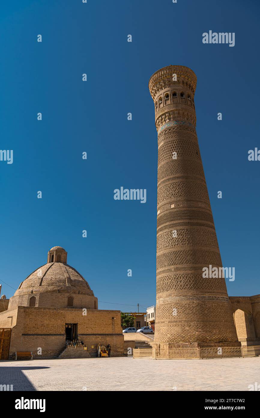 Vue imprenable sur le Minaret Kalan du complexe po-i-Kalan à Boukhara, Ouzbékistan. L'ancienne tour en briques cuites à piliers circulaires est un att touristique populaire Banque D'Images