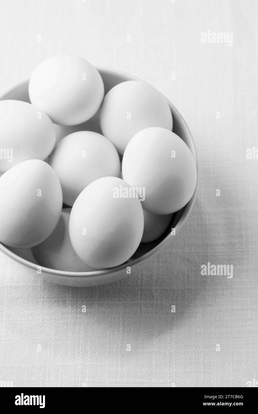 Bol à œufs de poule blanc à angle élevé Banque D'Images