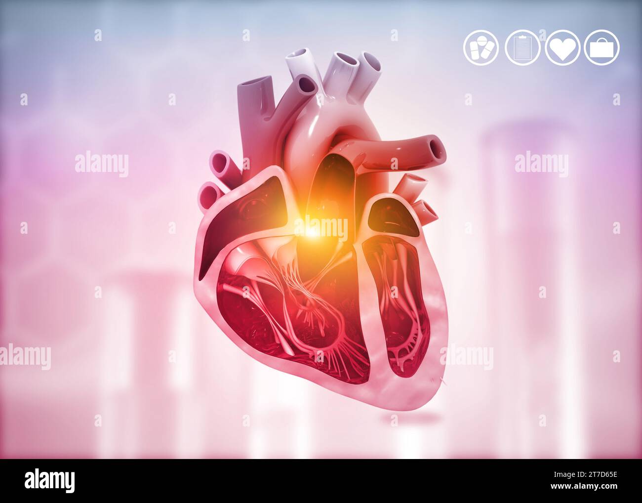 Coupe transversale du diagramme du coeur humain sur le fond médical. illustration 3d. Banque D'Images