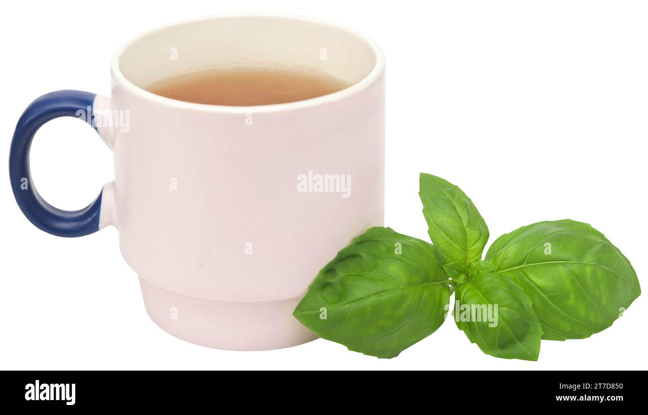 Feuilles de basilic frais avec de la tisane dans une tasse Banque D'Images