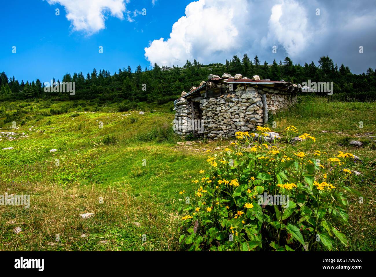 Refuge alpin au Mont Ortigara, théâtre de la première Guerre mondiale, parmi les champs verts et les pâturages sur le plateau atypique Asiago Vicence Veneto Banque D'Images