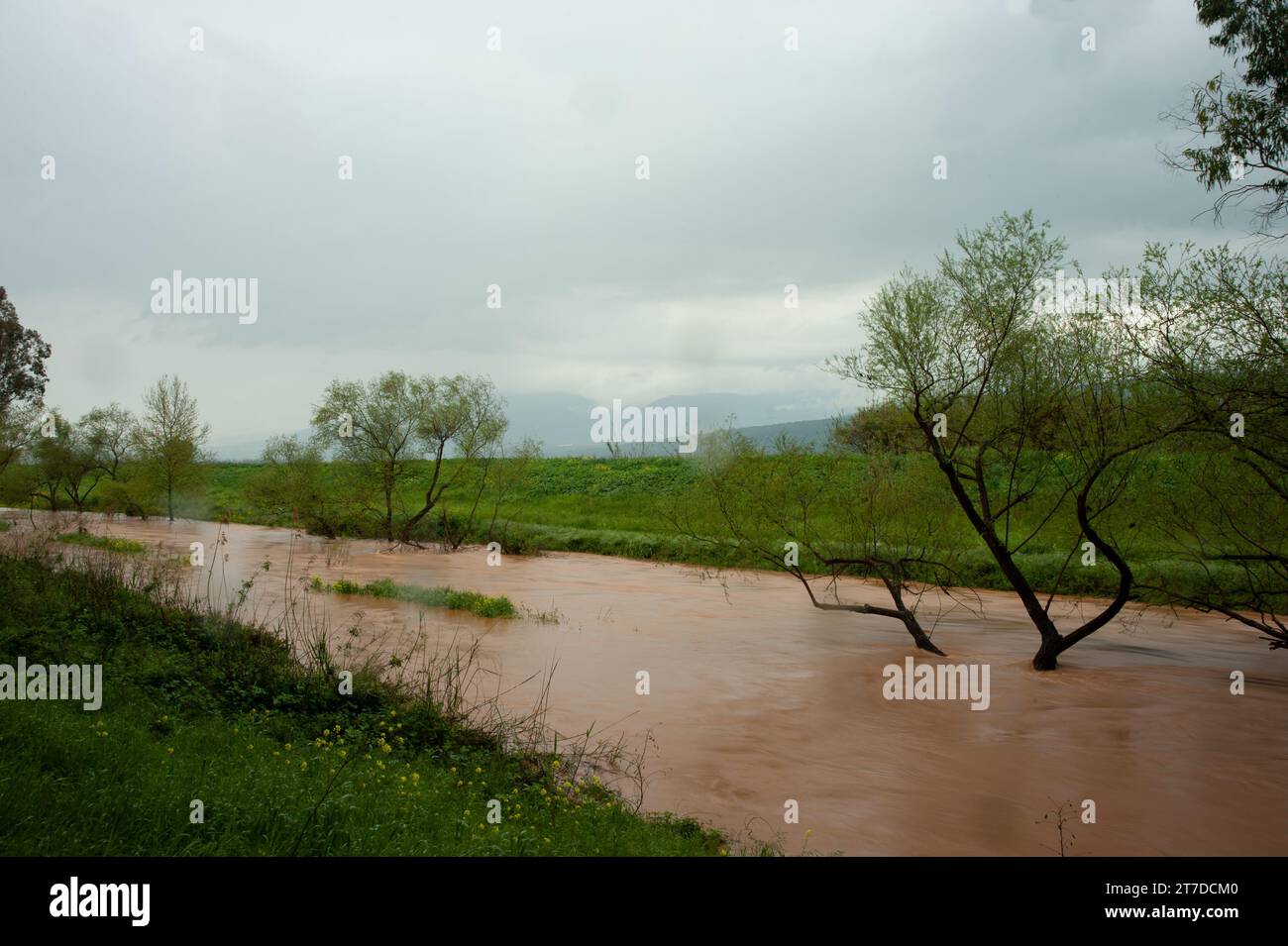 Après une tempête de pluie hivernale, le Jourdain dans le nord d'Israël gonfle d'eau brune et boueuse, débordant ses rives au printemps. Banque D'Images