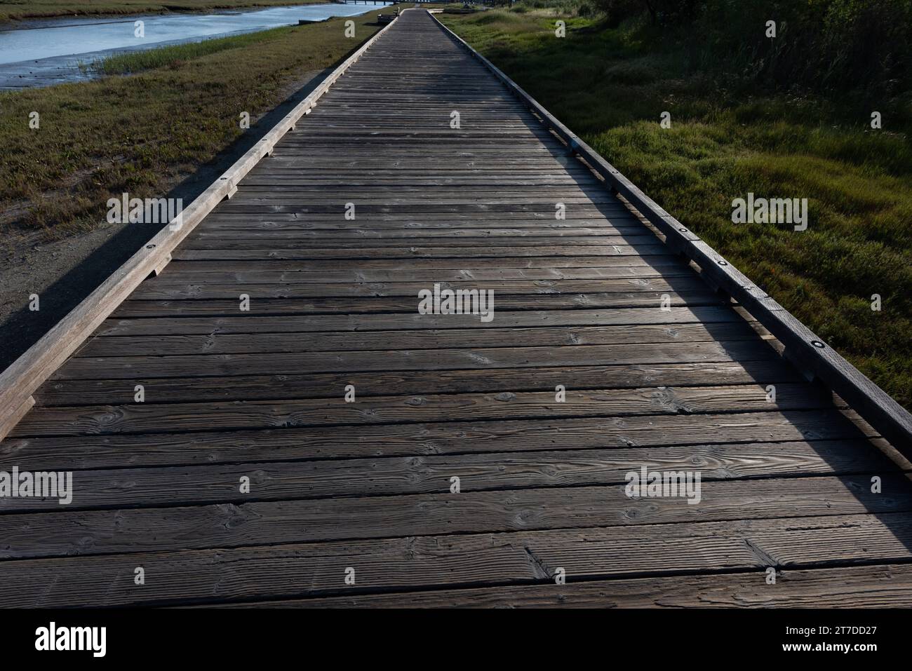 Promenade en bois surélevée s'étendant au loin pour les randonneurs et les cyclistes à travers une zone humide côtière du nord de la Californie Banque D'Images