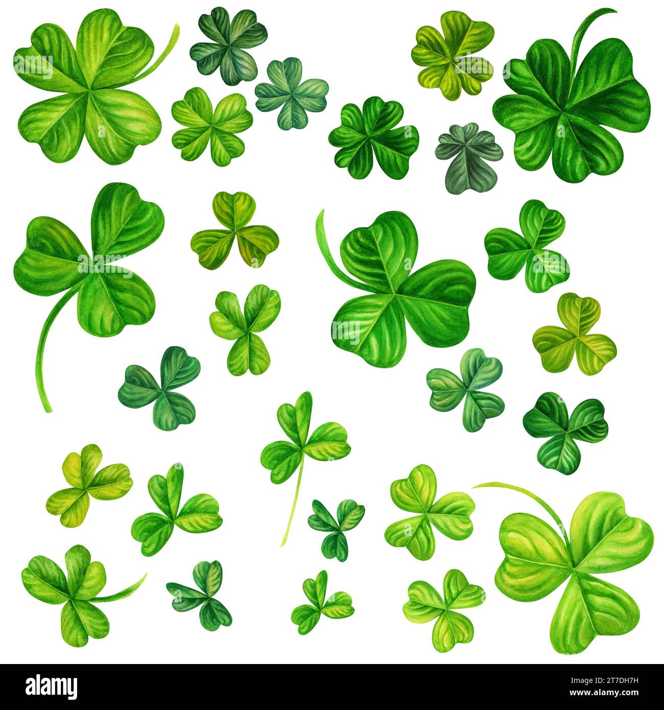 Bannière transparente vert aquarelle shamrock pour les illustrations de conception de fond de printemps, St Patrick, herbe verte, verdure d'été. Banque D'Images