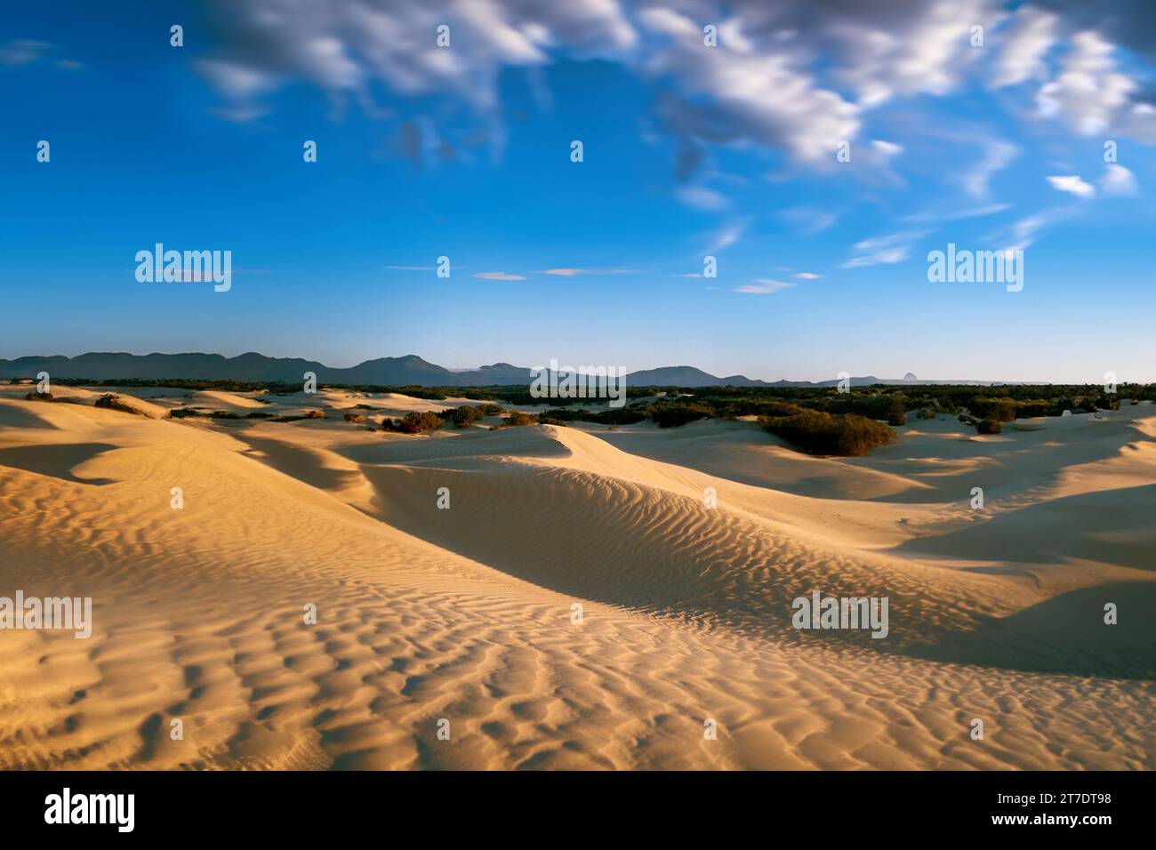 panorama du désert avec des montagnes en arrière-plan Banque D'Images