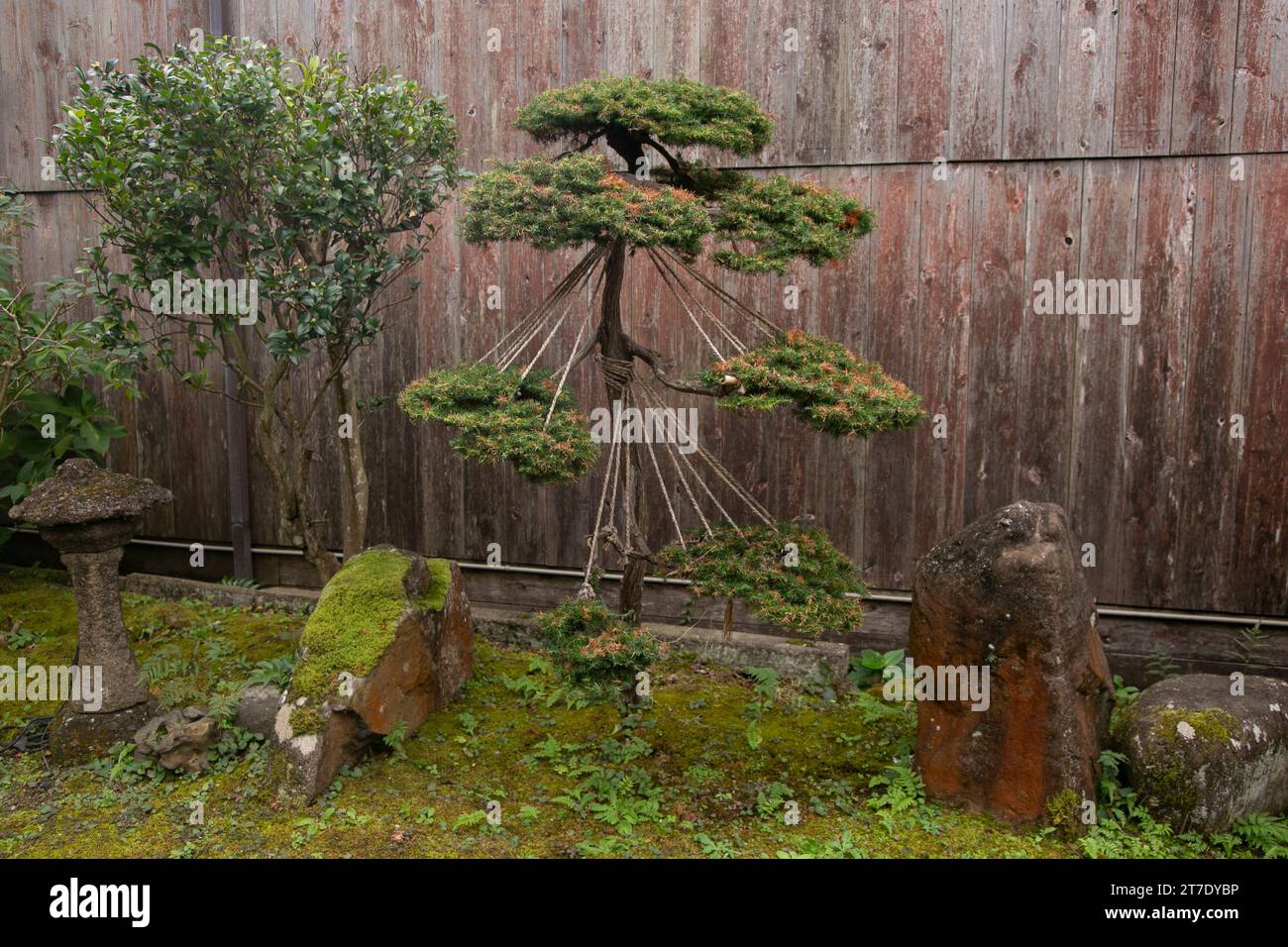 Ancienne maison de style japonais avec un beau jardin situé dans le village de Shukunegi. Banque D'Images