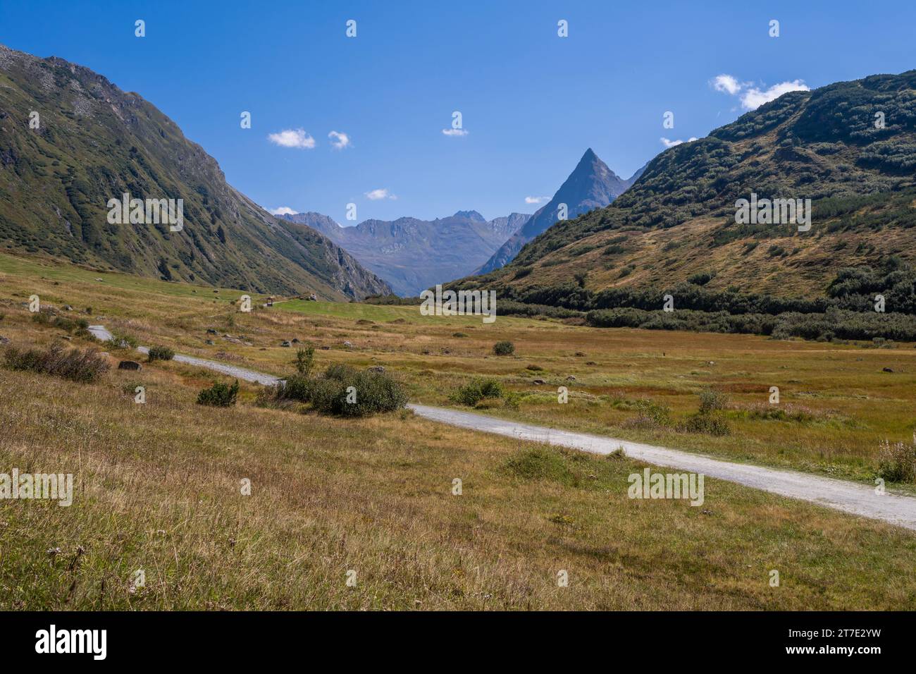 Paysage alpin dans la région du Vorarlberg en Autriche Banque D'Images