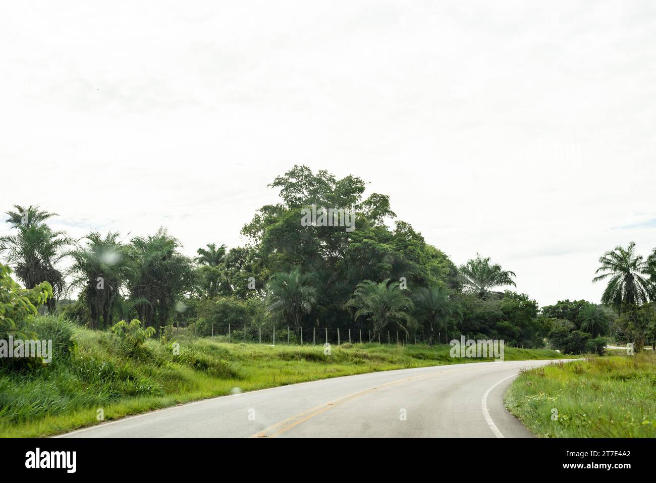 Vue d'une route asphaltée reliant deux villes de Bahia, Brésil. Forêts vertes denses des deux côtés de la piste. Banque D'Images