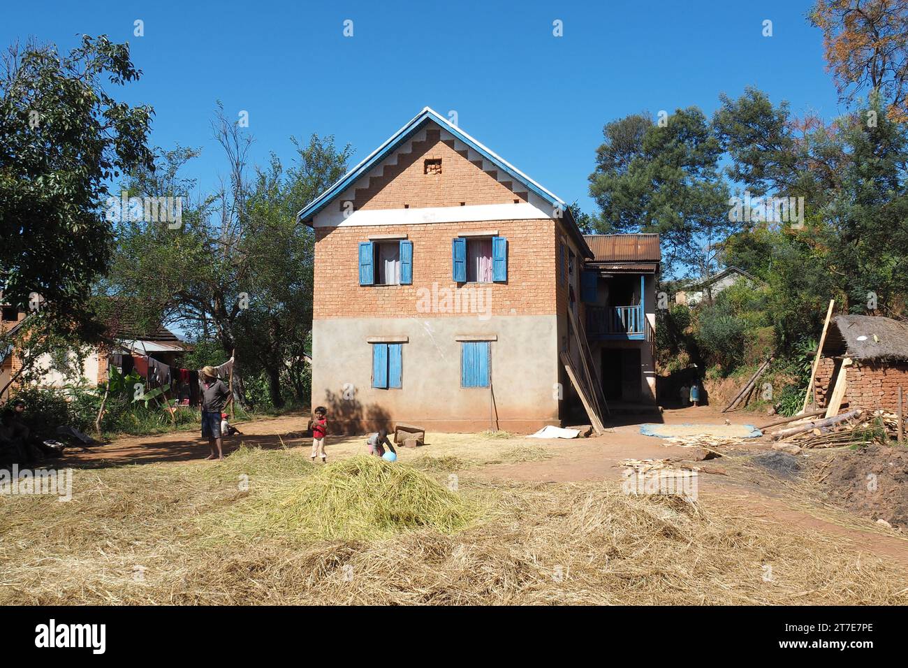 Madagascar, Antsirabe, village sur la RN7, maison traditionnelle et séchage du riz Banque D'Images