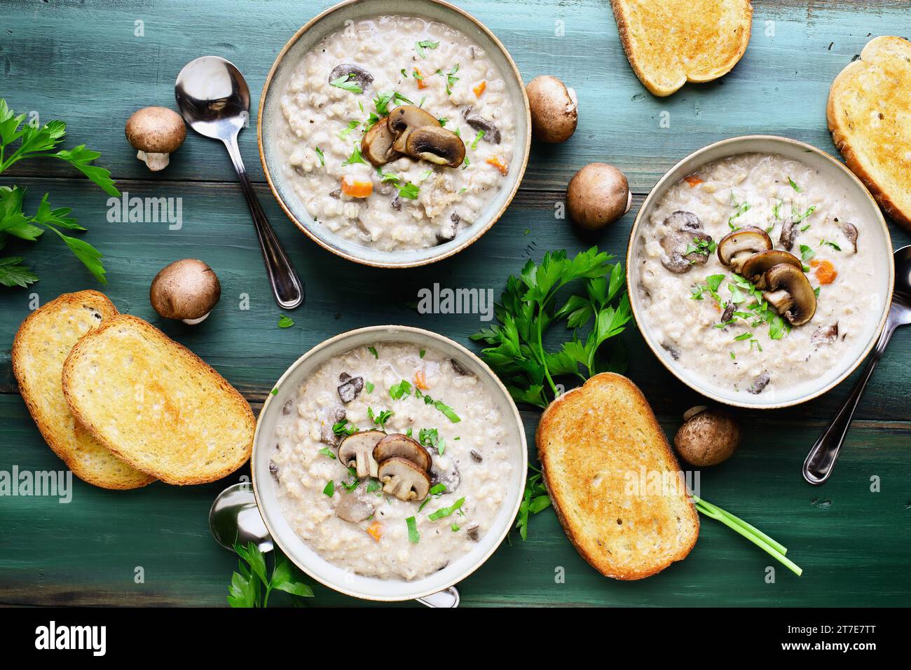 Trois bols de soupe aux champignons aux champignons portabella, carottes et persil frais. Servi avec du pain français grillé sur une table en bois vert. Frais généraux. Banque D'Images