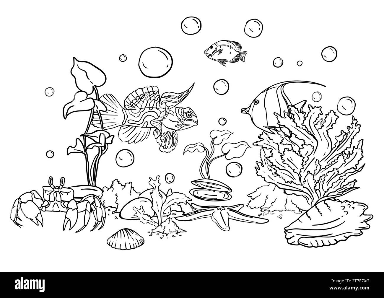 Illustration vectorielle d'un livre de coloriage du monde sous-marin avec de beaux poissons, coquillages, algues dans la mer Illustration de Vecteur