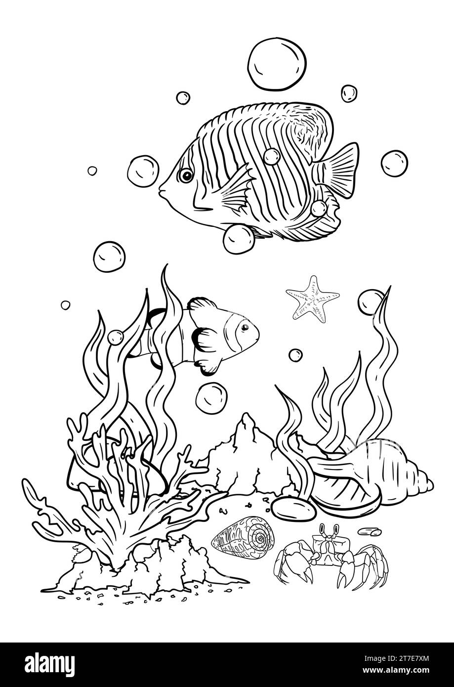 Illustration vectorielle d'un livre de coloriage du monde sous-marin avec de beaux poissons, coquillages, algues dans la mer Illustration de Vecteur
