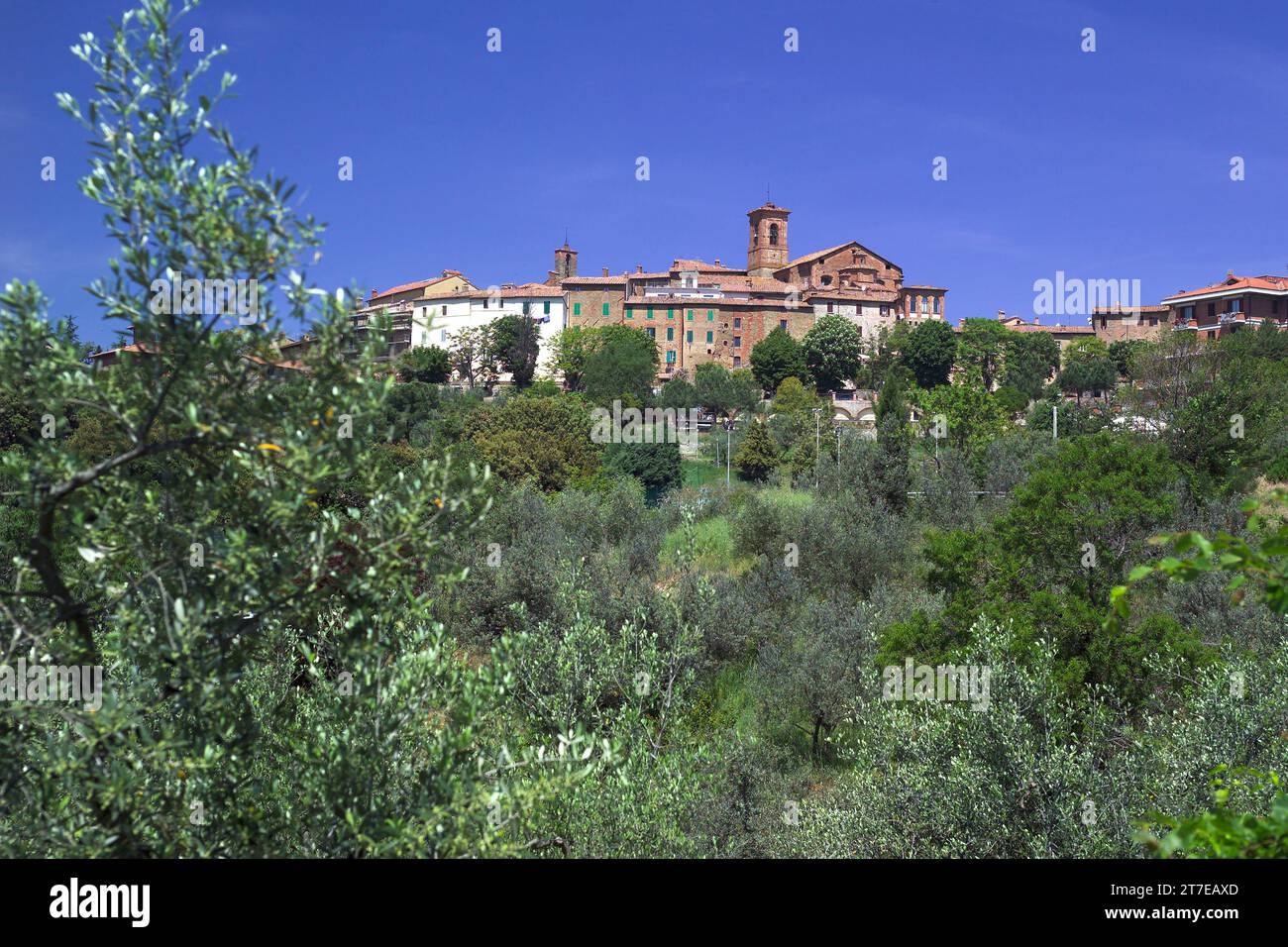 europe, italie, ombrie, provincia di perugia, panicale, veduta del borgo Banque D'Images