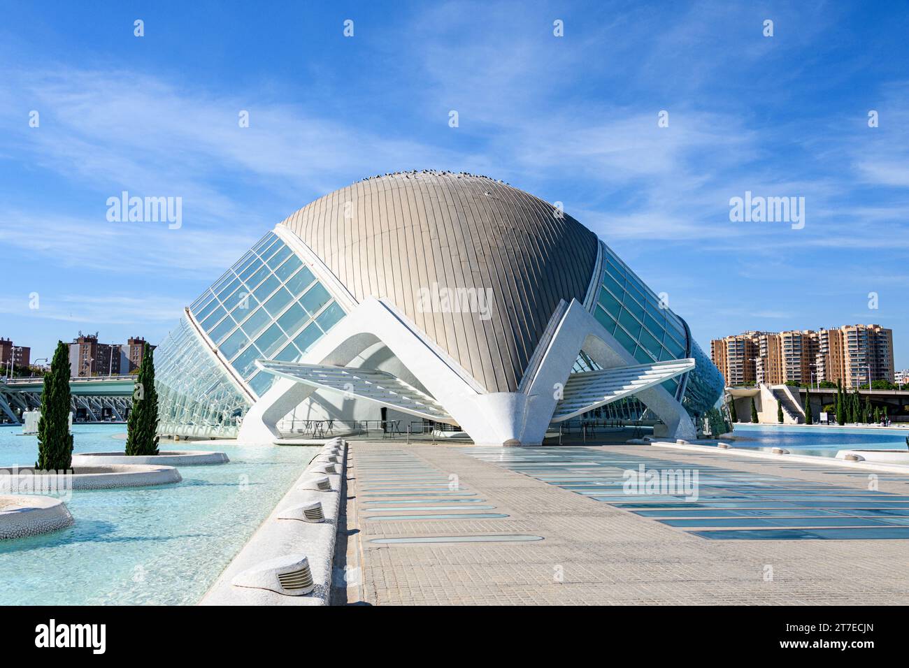 Cité des Arts et des Sciences Valencia Espagne Banque D'Images