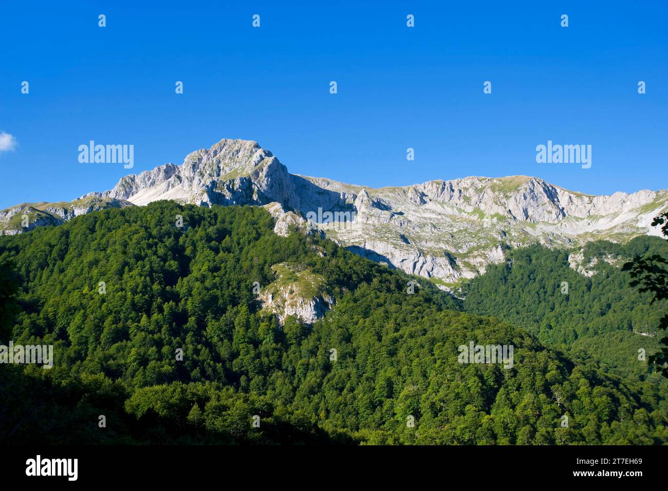 Mont Terminillo. Leonessa. Lazio. Italie Banque D'Images