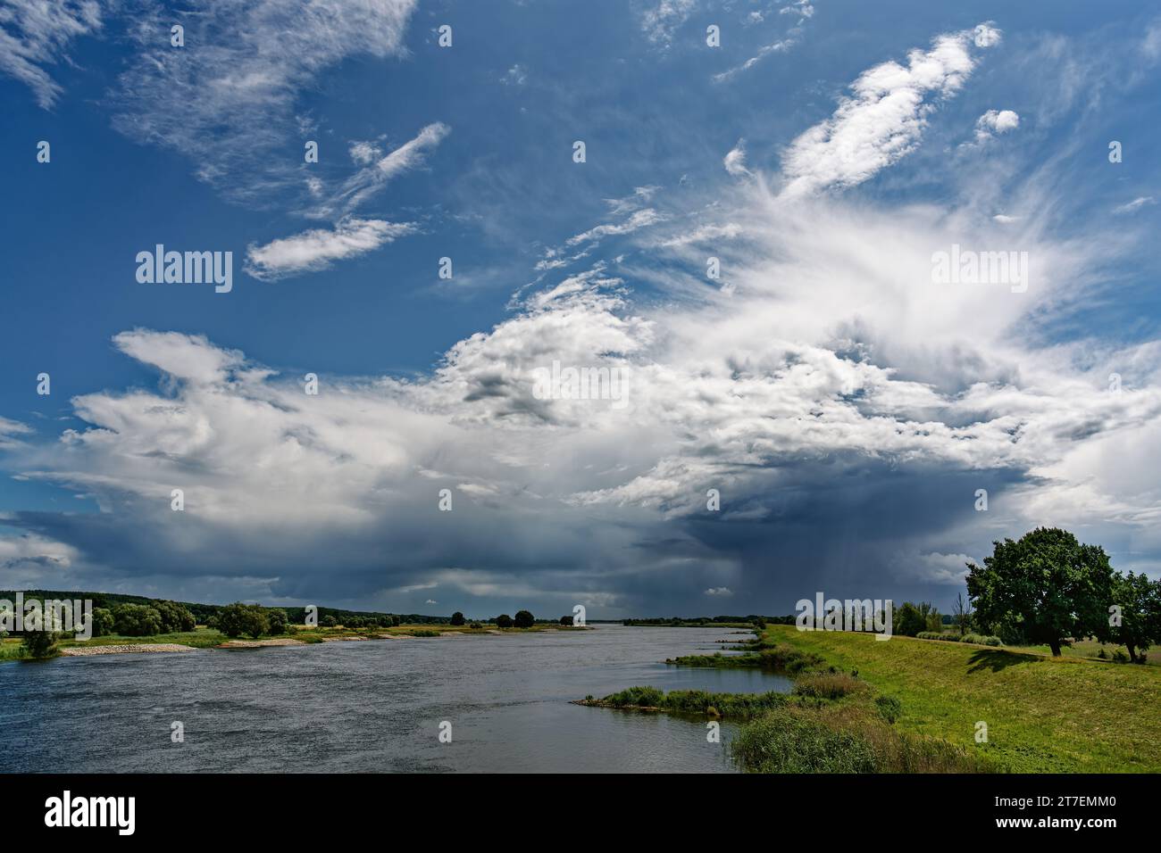 Vue le long de la rivière frontière germano-polonaise Oder à un grand front d'orage, d'où tombent partiellement de la pluie, le temps ensoleillé - lieu : Allemagne Pologne bor Banque D'Images