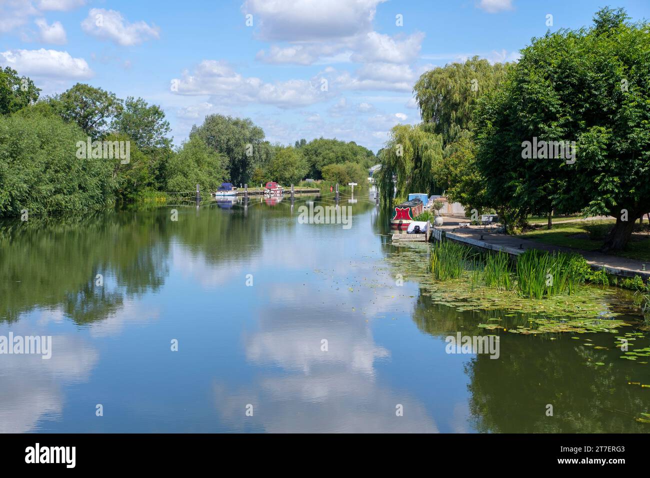 Bateaux amarrés sur la Tamise en Angleterre près de Benson, Oxfordshire Banque D'Images