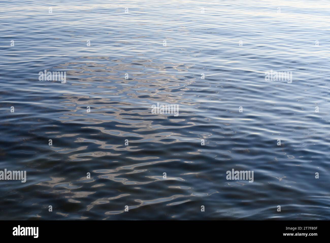 Surface bleue de la mer avec des ondulations Banque D'Images
