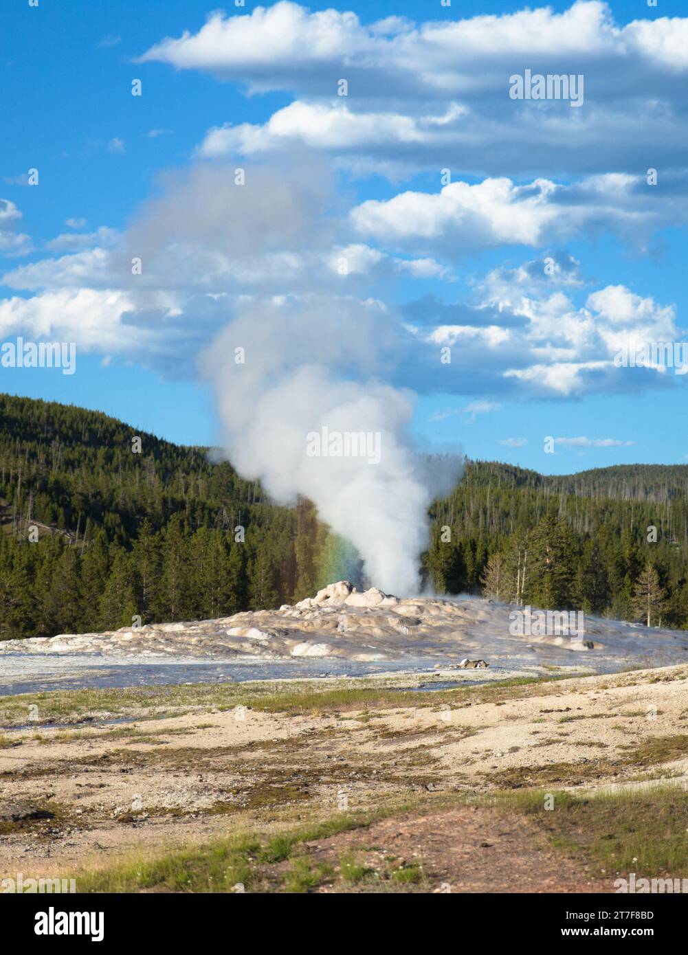 Le vieux geyser fidèle en éruption dans le parc national de Yellowstone Banque D'Images