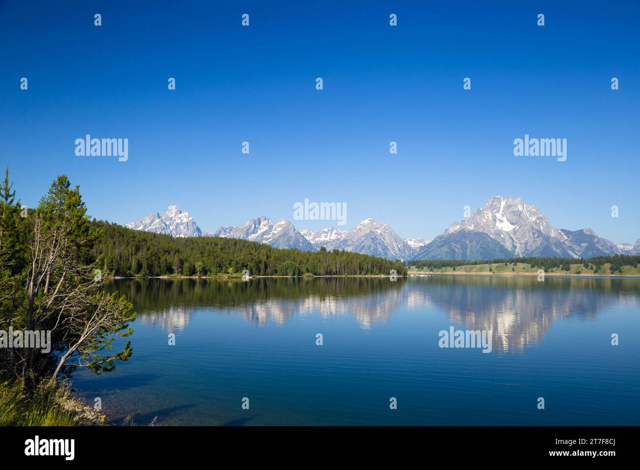 Chaîne de montagnes Grand Teton avec forêt de pins et reflet du lac en face Banque D'Images