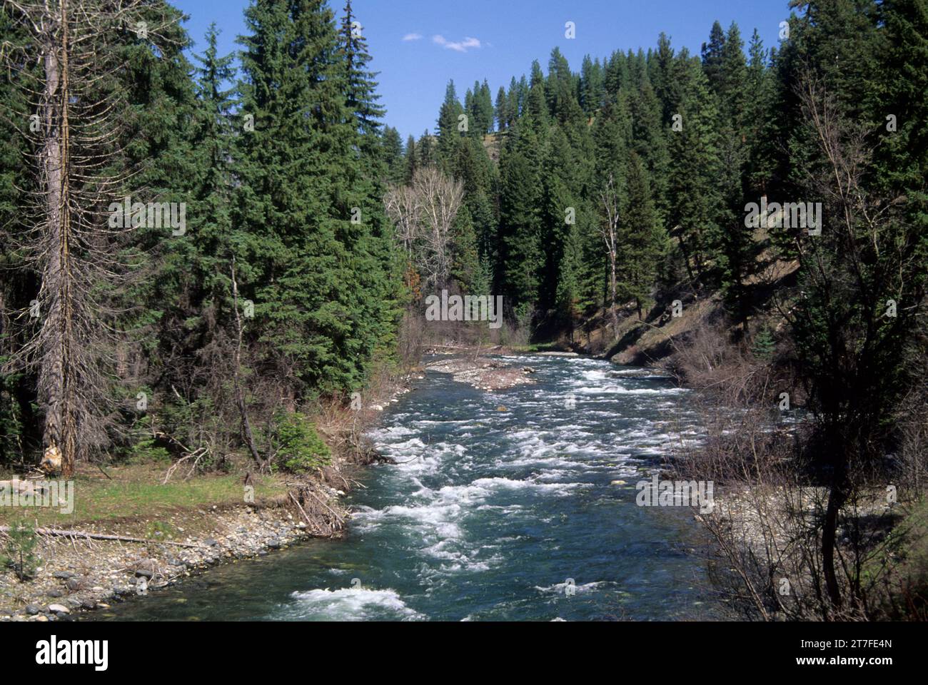 Eagle Creek Wild and Scenic River Trail pont de Martin, Wallowa-Whitman National Forest, Virginia Banque D'Images