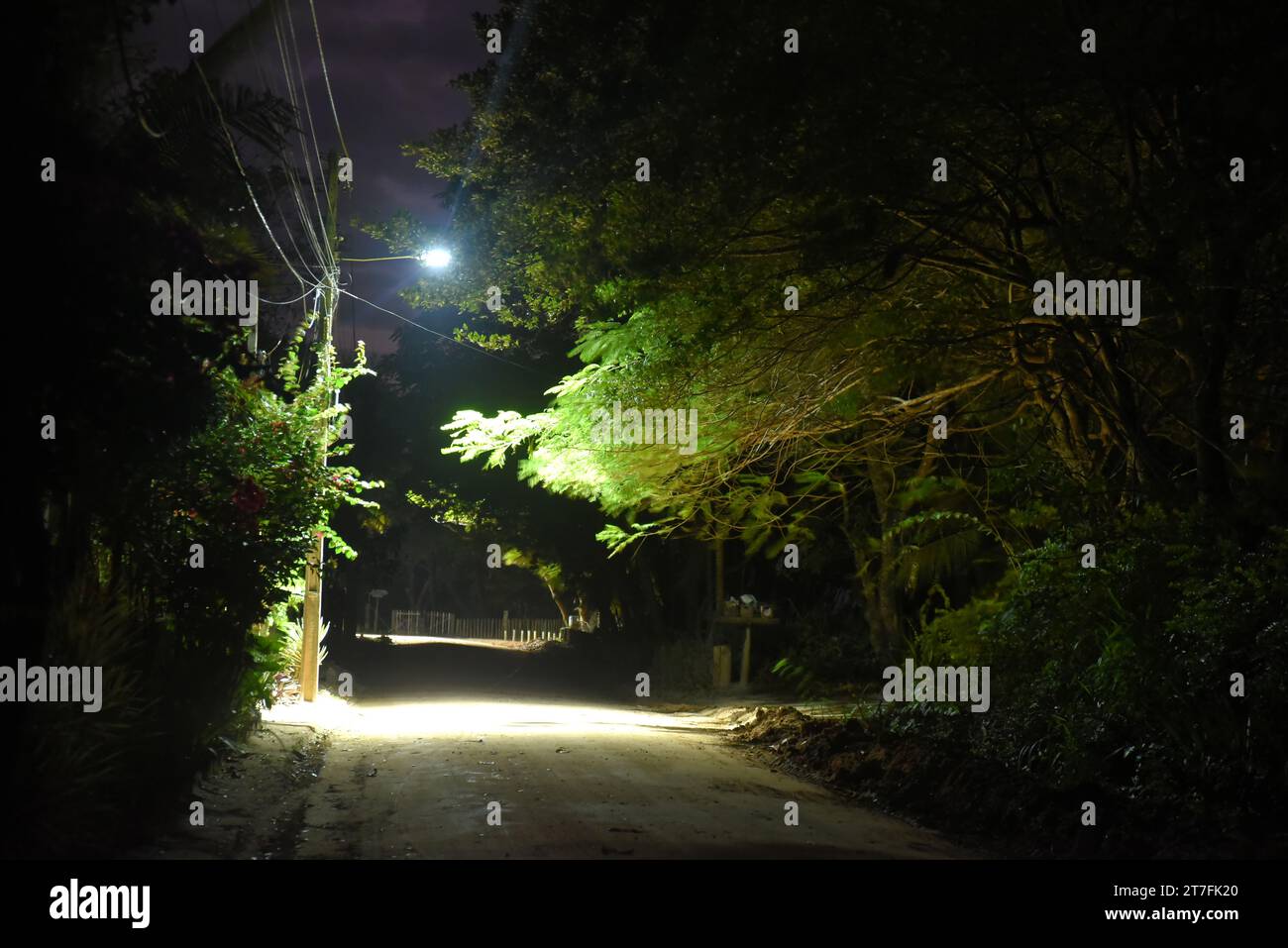 la nuit, sombre et sombre, avec une image de route vide bucolique Banque D'Images