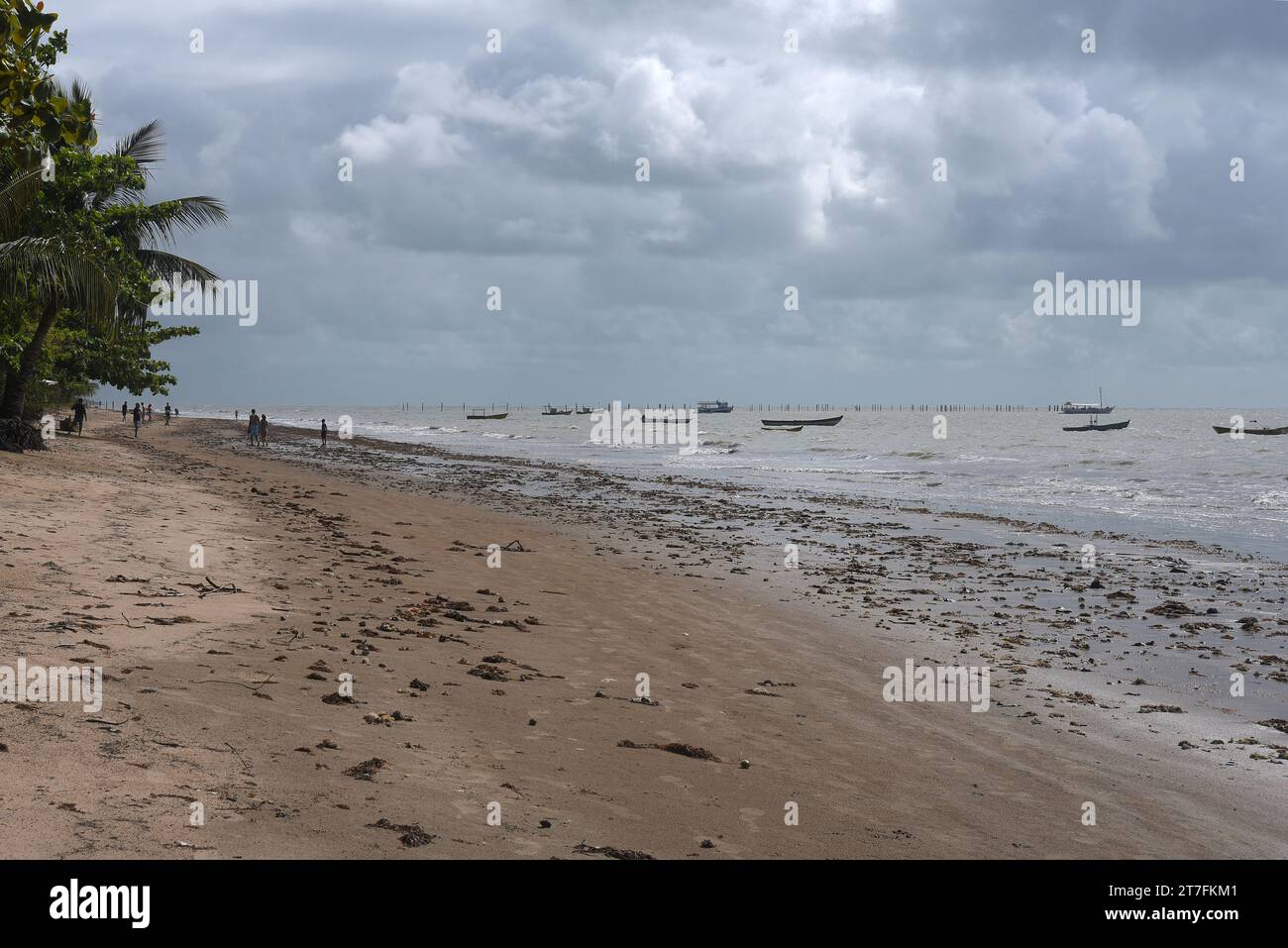 Brésil, Bahia 7 septembre 2023 : littoral avec plages sales déchets image de prolifération des algues Banque D'Images