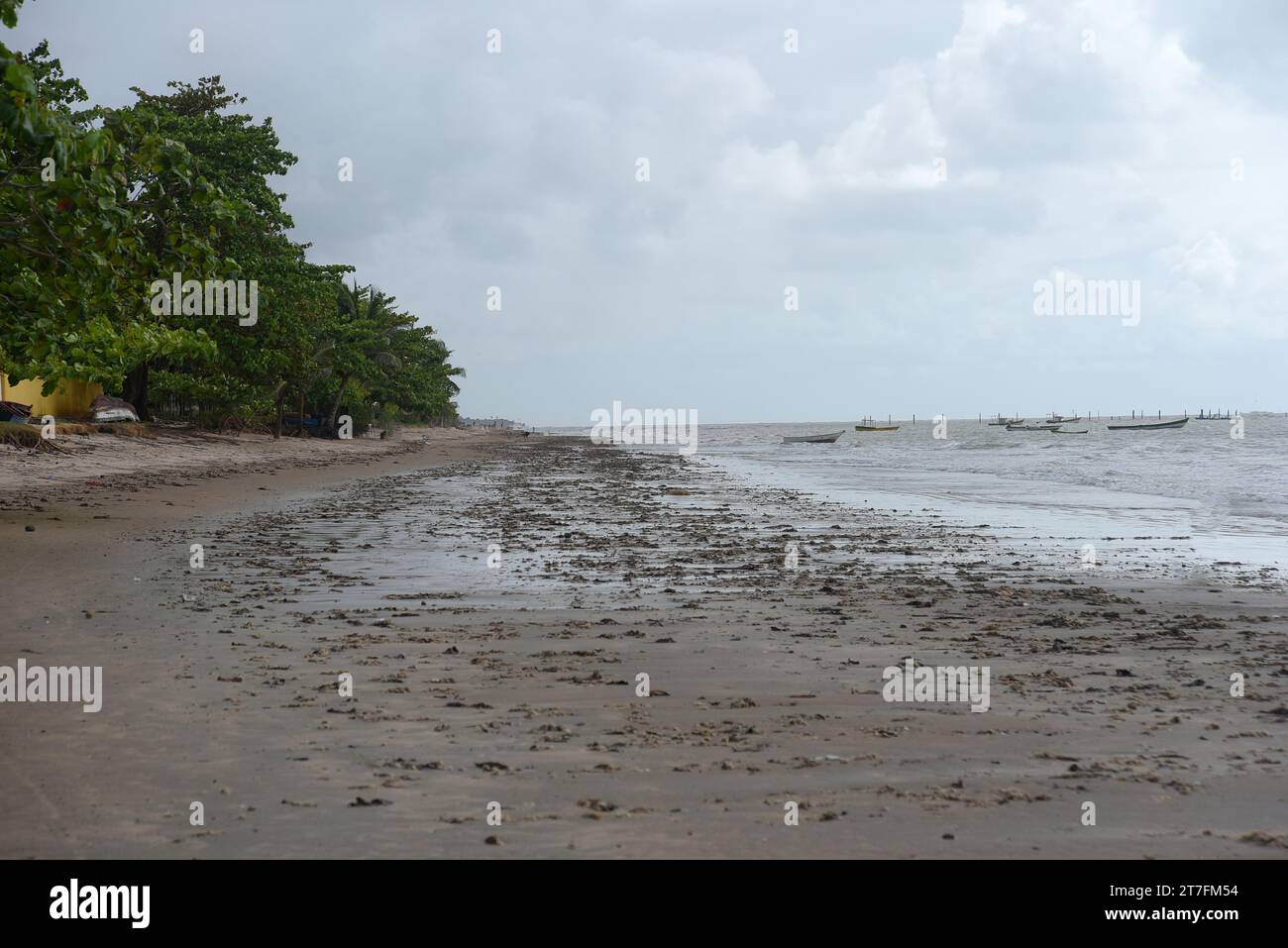 déchets jetés sur la plage, les eaux usées et la saleté, mauvais soin de la nature, prolifération des maladies épidémiques Banque D'Images