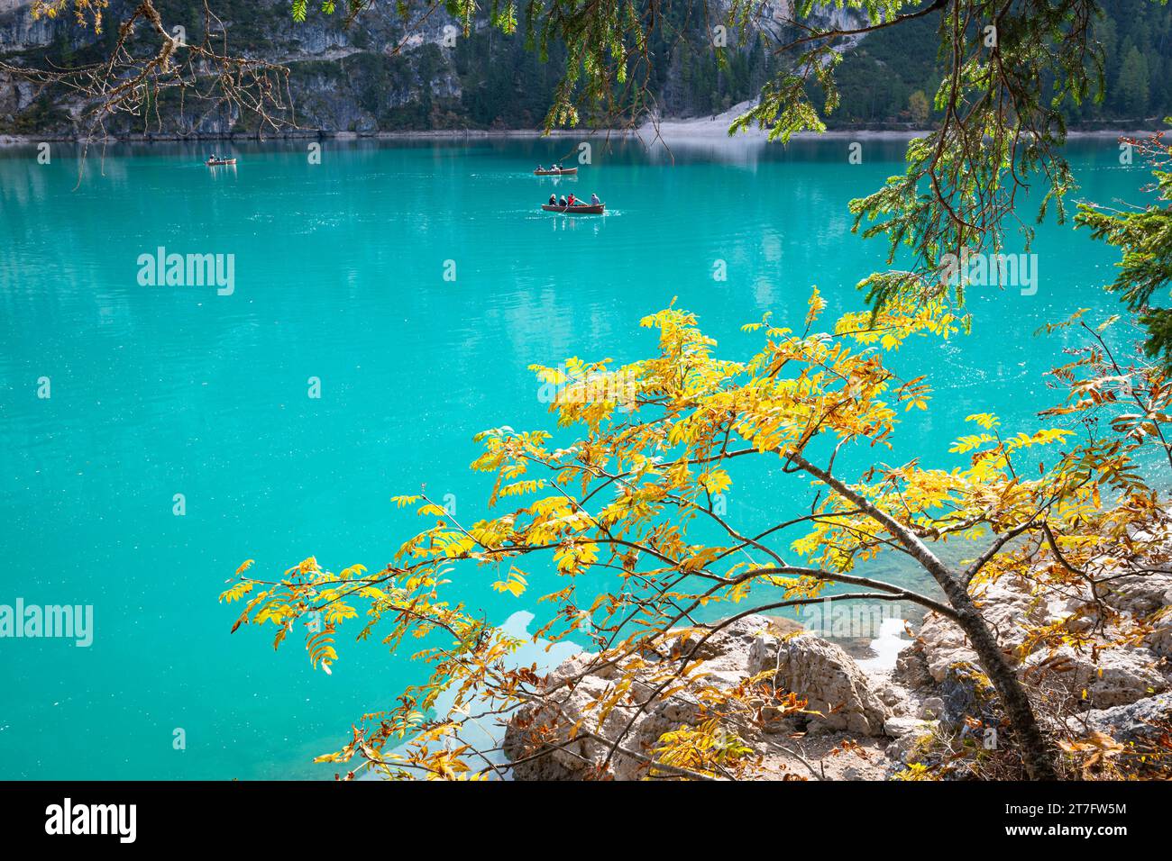 Buisson jaune près d'un lac turquoise dans les Dolomites Banque D'Images