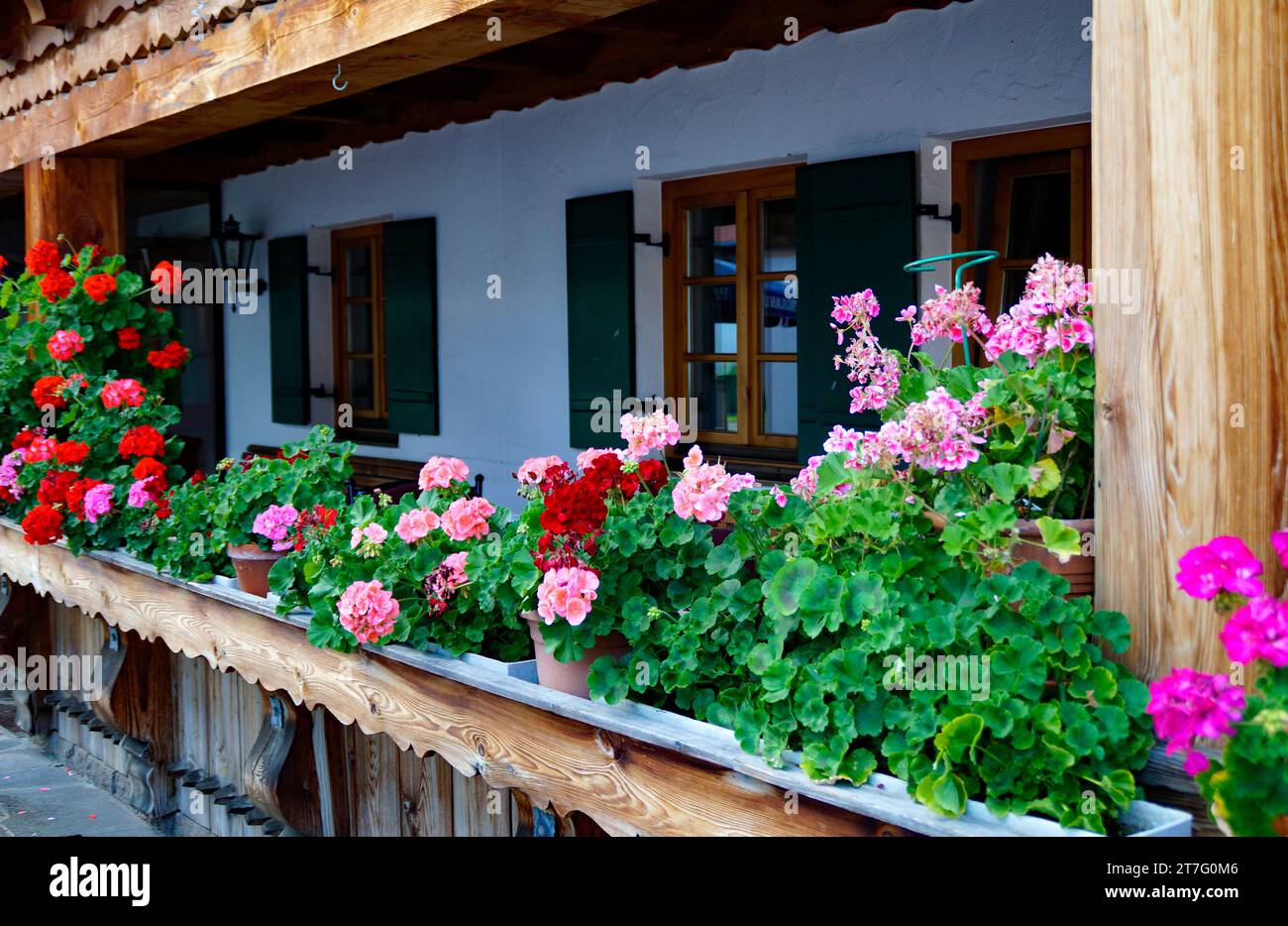 Scène idyllique avec une ferme traditionnelle bavaroise rustique alpine avec géraniums rouges sur le rebord du balcon à Schwangau dans les Alpes bavaroises en été Banque D'Images