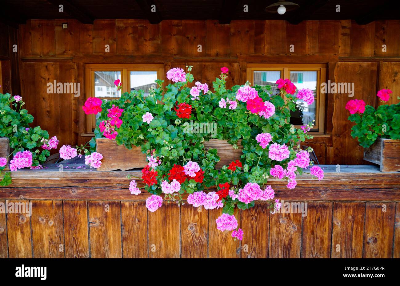 Scène idyllique avec une ferme traditionnelle bavaroise rustique alpine avec géraniums rouges sur le rebord du balcon à Schwangau dans les Alpes bavaroises en été Banque D'Images