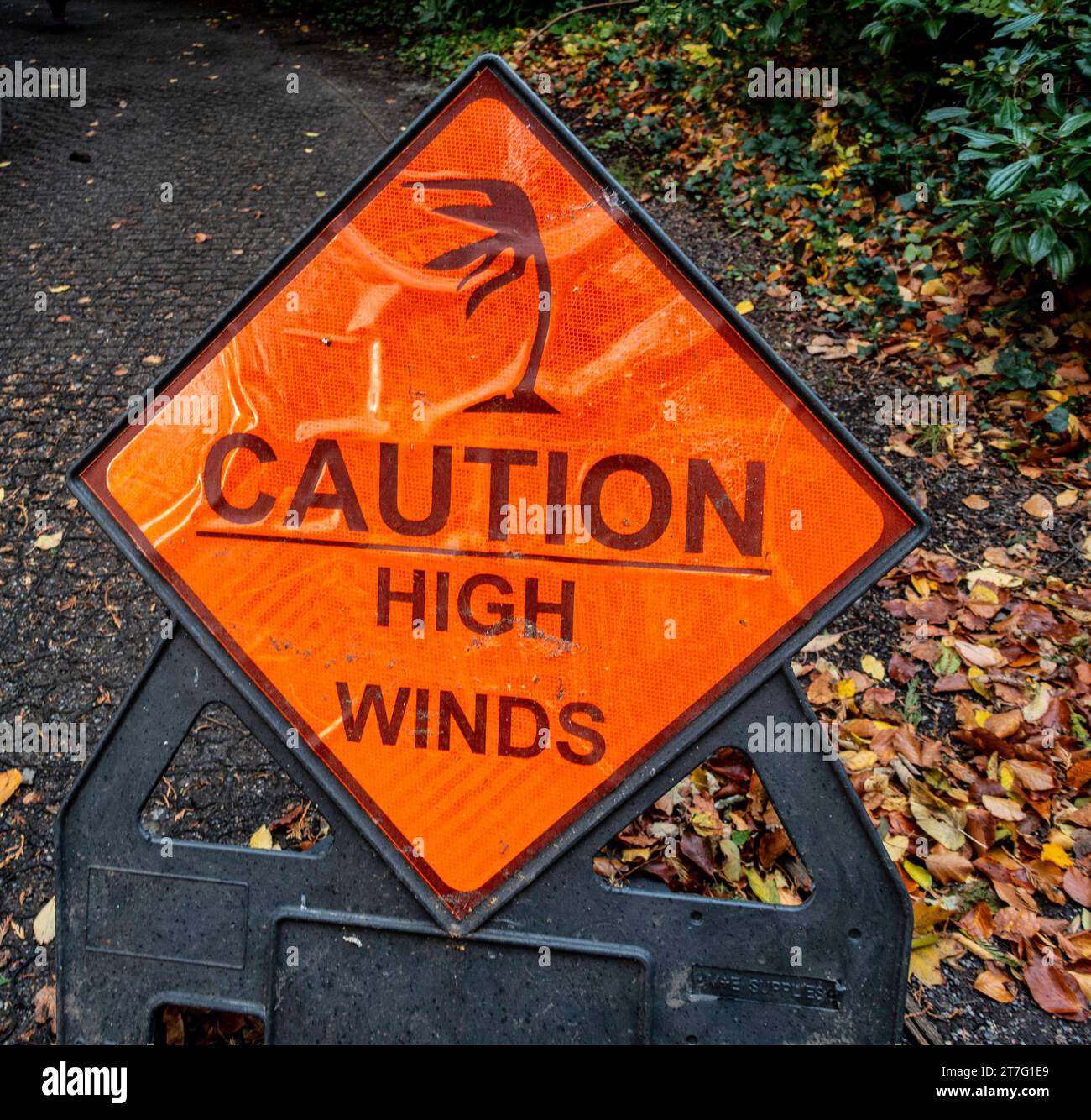Panneau d'avertissement orange vif « attention High Winds » placé sur un chemin boisé couvert de feuilles d'automne tombées le panneau présente un motif d'arbre courbé. Banque D'Images