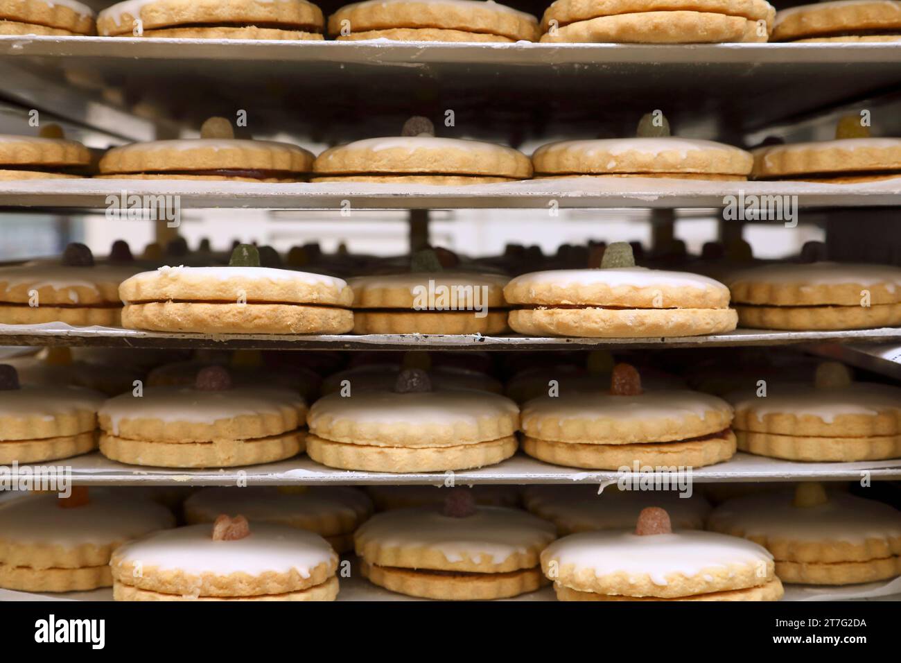 vue latérale des plateaux de tartes à confiture fraîchement préparées dans l'usine. Banque D'Images