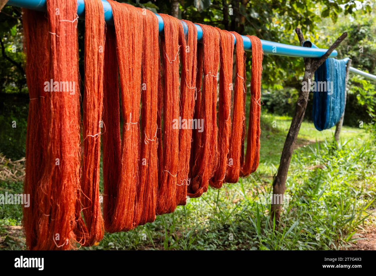Ferme et usine de soie organique, séchage, soie teintée, Phonsavan, province de Xiangkhouang, Laos, Asie du Sud-est, Asie Banque D'Images