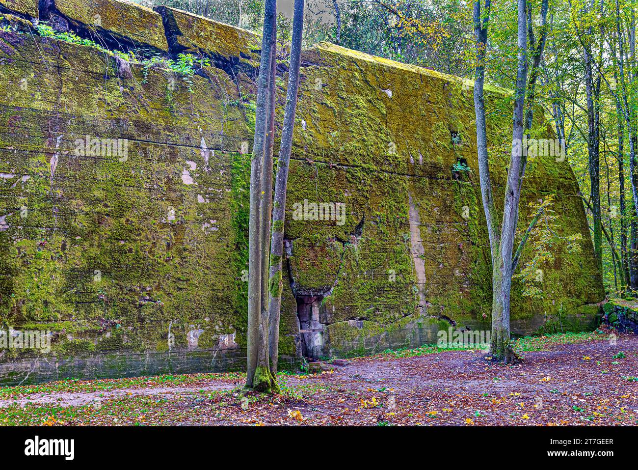 Wolf's Lair/Wolfsschanze une ville de bunkers entourée de forêts, de lacs et de marécages. C'est le plus grand et le plus reconnaissable commandement sur le terrain d'Adolf Hitler. Banque D'Images