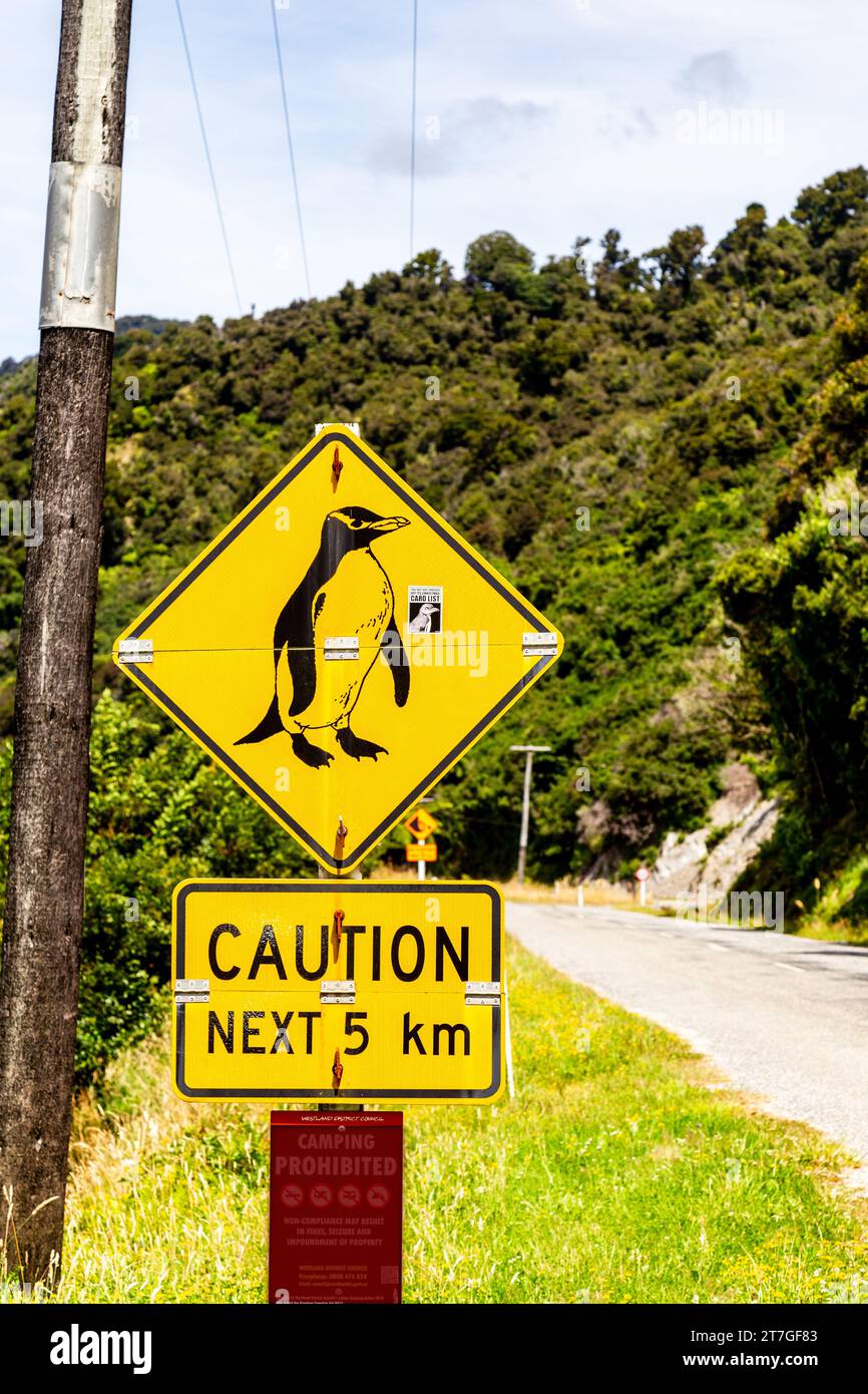 Le village de pêcheurs de Jackson Bay offre des vues spectaculaires sur l'océan et les Alpes du Sud, zone importante pour les oiseaux des pingouins du Fiordland Banque D'Images